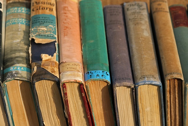 collection-of-old-books-3187655_640